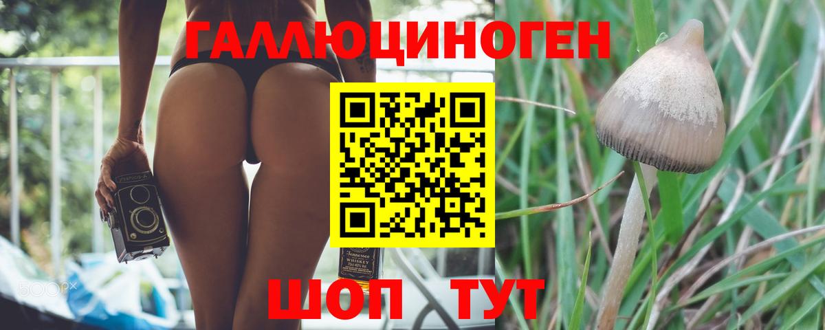 Псилоцибиновые грибы Magic Shrooms  Галлюциногенные грибы прущие грибы  Вход с VPN  Калининград 